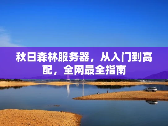 秋日森林服务器，从入门到高配，全网最全指南
