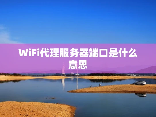 WiFi代理服务器端口是什么意思