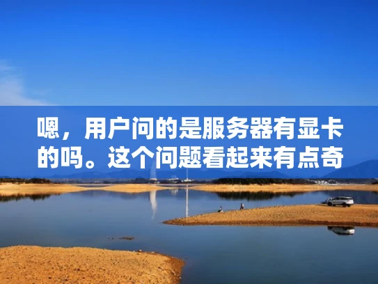 嗯，用户问的是服务器有显卡的吗。这个问题看起来有点奇怪，因为通常服务器不使用显卡，显卡通常是图形处理卡，用于游戏或图形处理。但也许用户是指一般的服务器配置，或者有特定的上下文