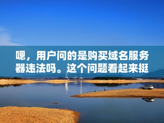 嗯，用户问的是购买域名服务器违法吗。这个问题看起来挺简单的，但其实涉及到很多方面，我得好好想想怎么回答