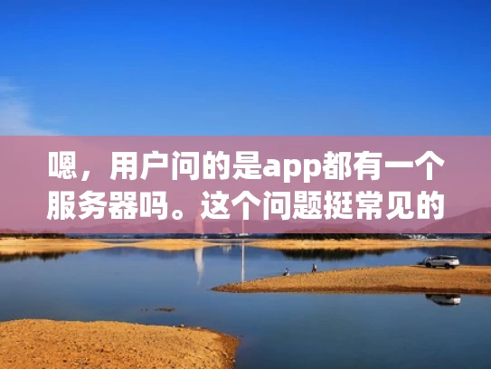 嗯，用户问的是app都有一个服务器吗。这个问题挺常见的，尤其是在移动应用方面。首先，我得理解用户到底想知道什么。可能他是个开发者，或者对网络技术不太熟悉的人，想知道自己的应用是否需要有自己的服务器