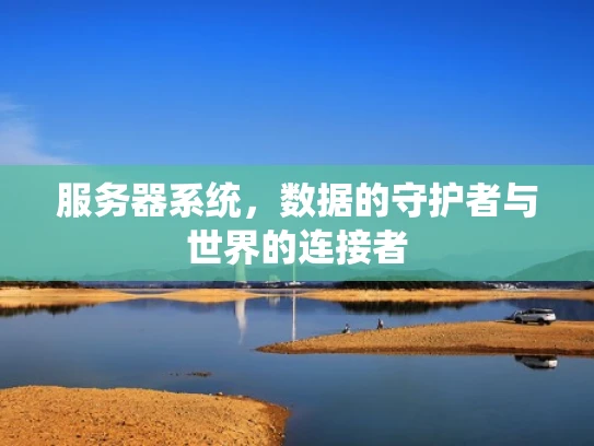 服务器系统，数据的守护者与世界的连接者