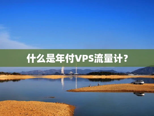 什么是年付VPS流量计？