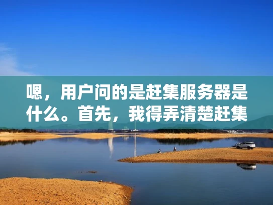 嗯，用户问的是赶集服务器是什么。首先，我得弄清楚赶集服务器具体指的是什么。赶集网是一家做二手平台的公司，可能他们有自己的服务器系统。所以，赶集服务器可能指的是他们提供的服务器服务