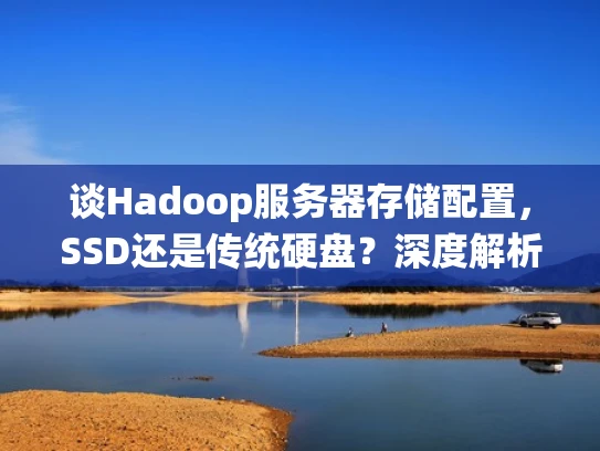 谈Hadoop服务器存储配置，SSD还是传统硬盘？深度解析Hadoop存储需求
