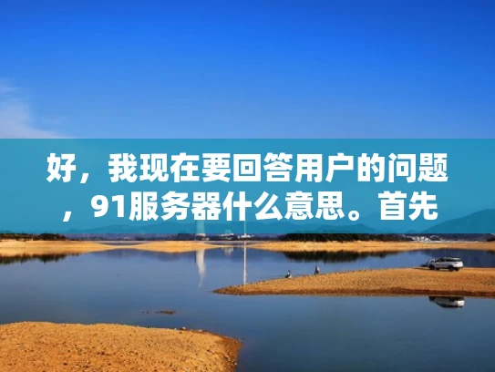 好，我现在要回答用户的问题，91服务器什么意思。首先，我需要理解91服务器这个短语的含义。看起来像是91加上服务器，所以可能是一个特定的服务器品牌或者型号
