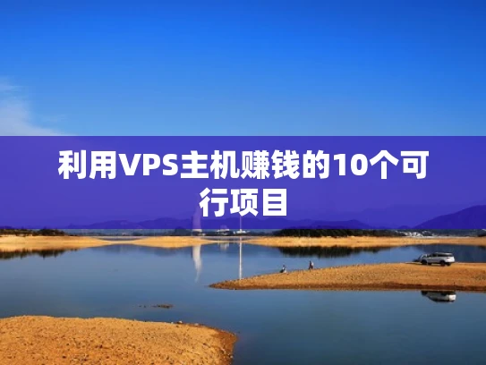 利用VPS主机赚钱的10个可行项目