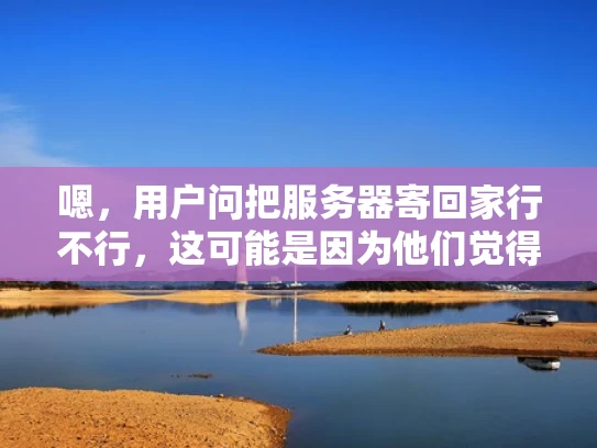 嗯，用户问把服务器寄回家行不行，这可能是因为他们觉得带服务器回家太麻烦，或者担心安全问题。首先，我得考虑用户可能是一个小型企业主或者个人，他们可能不太熟悉服务器的管理和安全配置