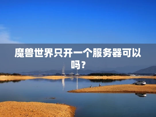 魔兽世界只开一个服务器可以吗？