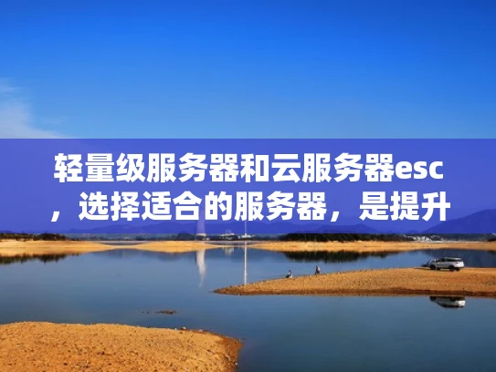 轻量级服务器和云服务器esc，选择适合的服务器，是提升效率的关键