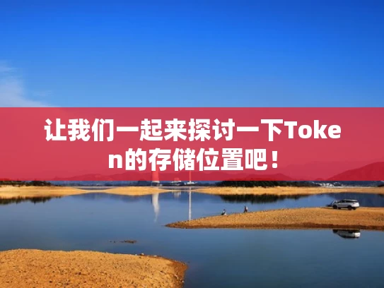 让我们一起来探讨一下Token的存储位置吧！