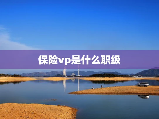 保险vp是什么职级