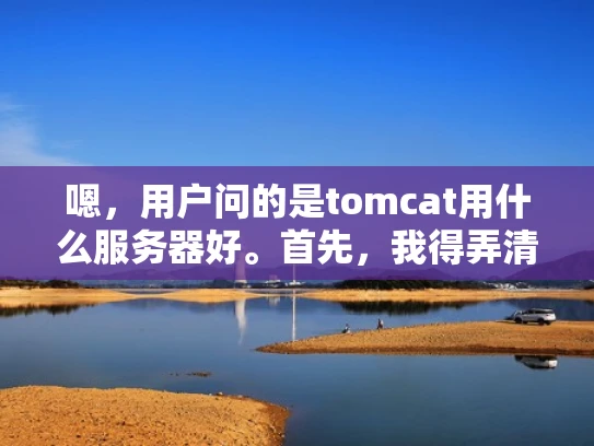 嗯，用户问的是tomcat用什么服务器好。首先，我得弄清楚用户的需求是什么。可能用户是一个刚开始学习Web开发的人，或者是一个小企业主，想搭建一个简单的网站，使用Tomcat作为Web服务器