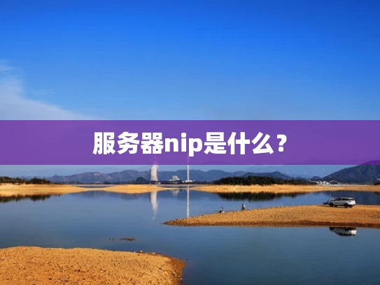 服务器nip是什么？