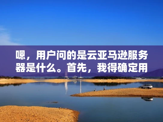 嗯，用户问的是云亚马逊服务器是什么。首先，我得确定用户可能是什么身份。可能是刚开始接触云计算的开发者，或者是想了解亚马逊服务的普通用户。他们可能对云服务不太熟悉，所以需要一个简单明了的解释