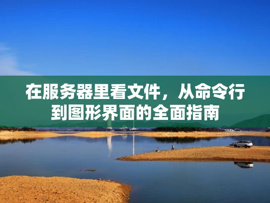 在服务器里看文件，从命令行到图形界面的全面指南