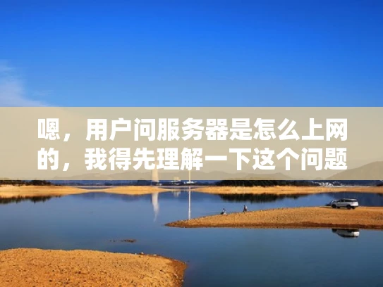 嗯，用户问服务器是怎么上网的，我得先理解一下这个问题。服务器通常是一个物理设备，可能部署在机房里，所以它自己是不能上网的。上网需要网络连接，而服务器只是连接到网络上的设备之一