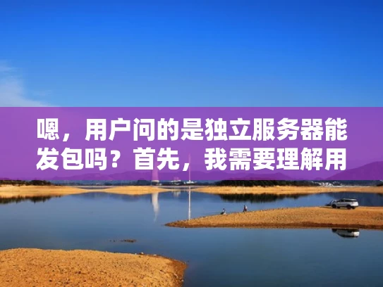 嗯，用户问的是独立服务器能发包吗？首先，我需要理解用户的问题。他可能是在问独立服务器是否可以发送数据包，或者是否具备发送的能力。这可能涉及到网络通信、服务器配置以及安全等方面的知识