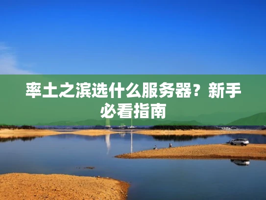 率土之滨选什么服务器？新手必看指南