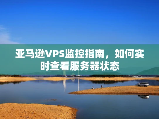 亚马逊VPS监控指南，如何实时查看服务器状态