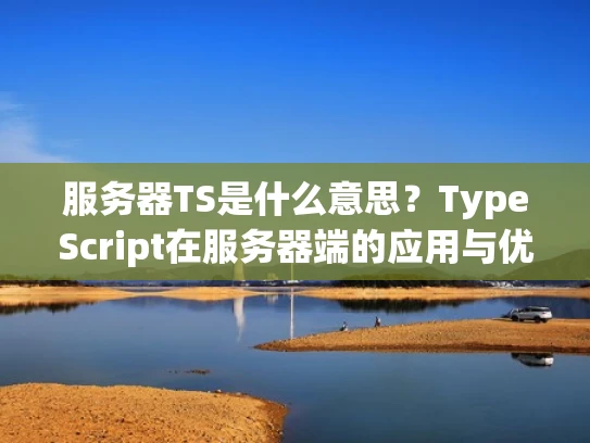 服务器TS是什么意思？TypeScript在服务器端的应用与优势