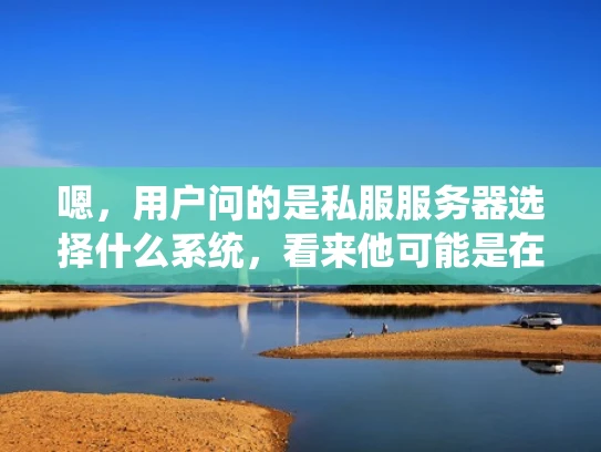 嗯，用户问的是私服服务器选择什么系统，看来他可能是在搭建一个游戏私服，或者是其他类型的网站服务器。首先，我得确定他的身份，可能是开发人员、游戏设计师或者网站维护人员