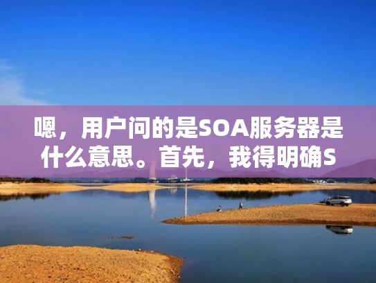 嗯，用户问的是SOA服务器是什么意思。首先，我得明确SOA是什么，然后解释它在服务器中的作用。可能用户不太了解SOA的整体概念，所以得从基础开始讲起