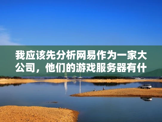 我应该先分析网易作为一家大公司，他们的游戏服务器有什么特点。比如，服务器稳定性、安全性、多平台支持这些。然后，结合实际案例，让文章更生动。比如，可以举一个账号安全案例，说明网易服务器的防护措施