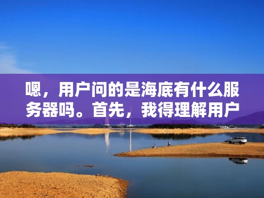 嗯，用户问的是海底有什么服务器吗。首先，我得理解用户的问题。可能他们是在问互联网 backbone 是否埋设在海底，或者是否有专门的海底服务器。这可能涉及到网络基础设施、海底通信或者数据传输的问题
