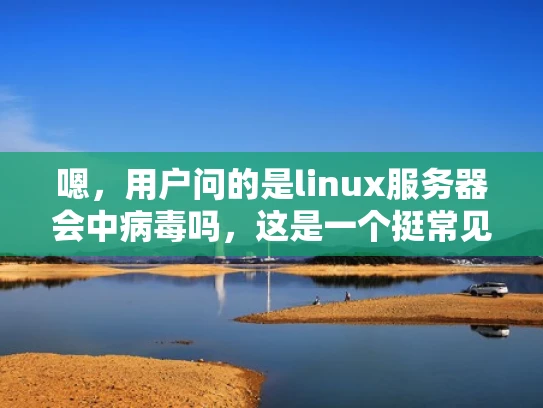 嗯，用户问的是linux服务器会中病毒吗，这是一个挺常见的问题。首先，我得考虑用户可能是什么身份，可能是个刚开始接触服务器的人，或者是运维人员，也可能是普通用户想了解服务器的安全性