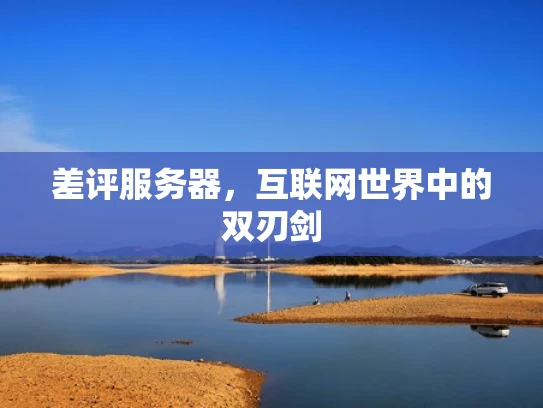 差评服务器，互联网世界中的双刃剑