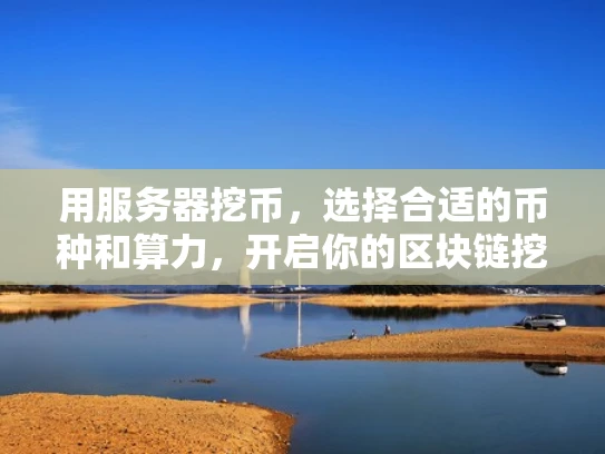 用服务器挖币，选择合适的币种和算力，开启你的区块链挖矿之旅