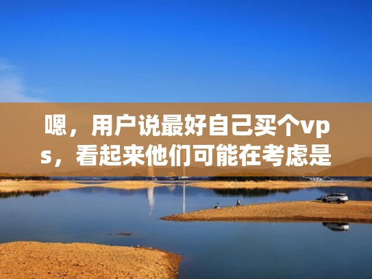 嗯，用户说最好自己买个vps，看起来他们可能在考虑是否购买虚拟服务器。首先，我得分析他们可能的需求和顾虑。他们可能对虚拟服务器不太了解，或者正在权衡成本和维护的问题
