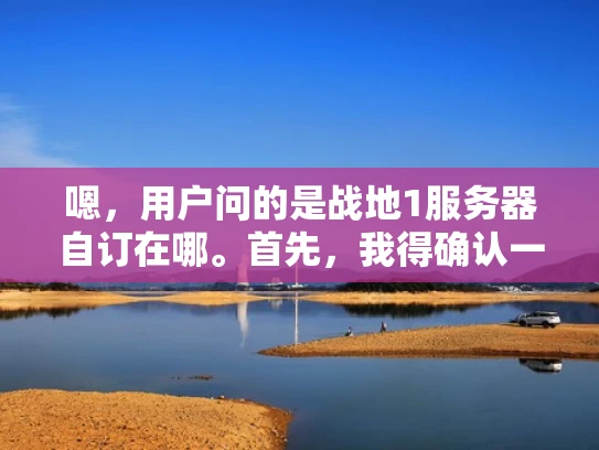 嗯，用户问的是战地1服务器自订在哪。首先，我得确认一下，用户可能是在玩战地1这个游戏，对游戏服务器设置感兴趣。可能他刚入坑，或者想优化游戏体验，所以想了解如何自定义服务器