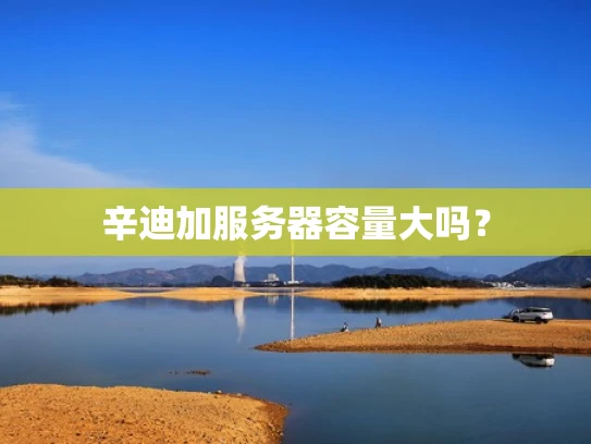 辛迪加服务器容量大吗？