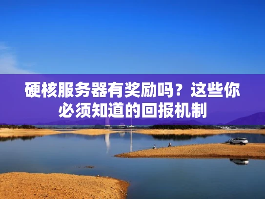 硬核服务器有奖励吗？这些你必须知道的回报机制