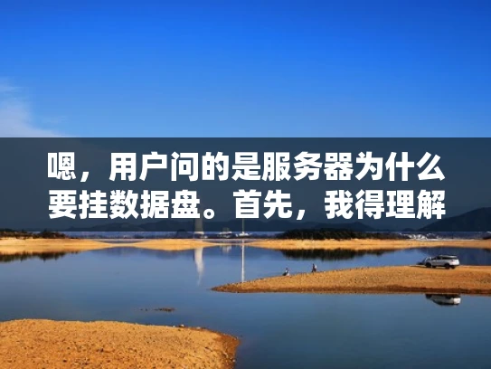 嗯，用户问的是服务器为什么要挂数据盘。首先，我得理解挂数据盘是什么意思。可能用户是指在服务器上挂载外部硬盘作为存储设备，或者可能是挂载这个词用错了，应该是挂盘或者挂载
