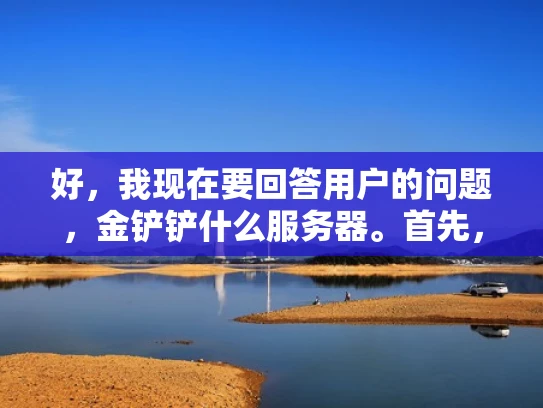 好，我现在要回答用户的问题，金铲铲什么服务器。首先，我需要明确金铲铲指的是什么。根据用户的问题，可能是指金铲铲作为服务器品牌或服务。但我不确定，所以需要先查证一下