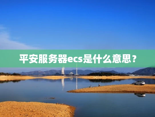 平安服务器ecs是什么意思？