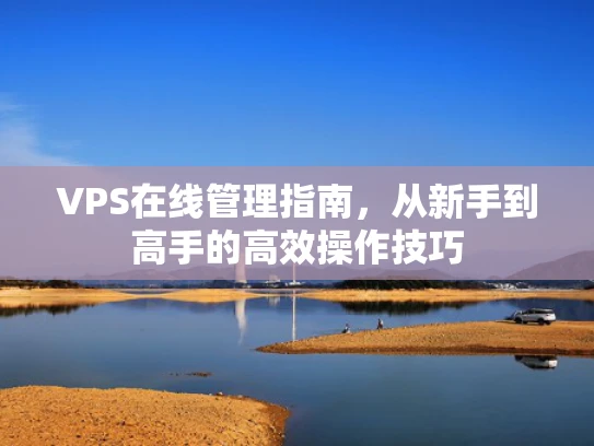 VPS在线管理指南，从新手到高手的高效操作技巧