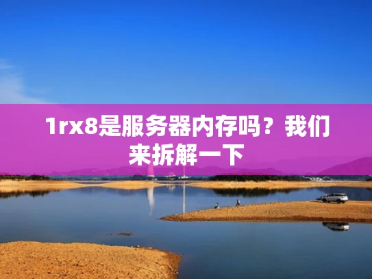 1rx8是服务器内存吗？我们来拆解一下