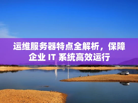 运维服务器特点全解析，保障企业 IT 系统高效运行