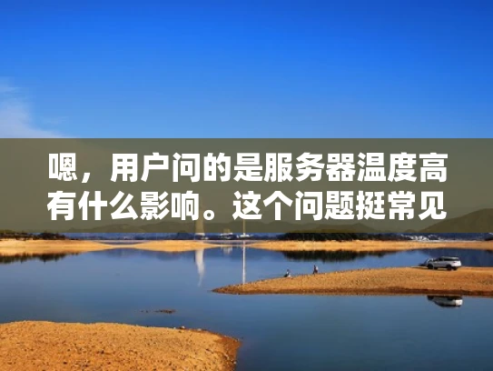 嗯，用户问的是服务器温度高有什么影响。这个问题挺常见的，但可能用户对服务器的内部运作不太了解，或者他们遇到了温度问题，想弄清楚具体的影响