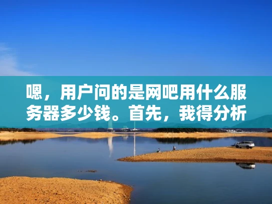 嗯，用户问的是网吧用什么服务器多少钱。首先，我得分析一下他的需求。网吧是个需要稳定性和高性价比的地方，用户可能是个小本经营或者个人投资者，想开一家小型网吧