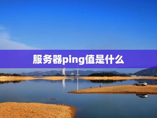 服务器ping值是什么