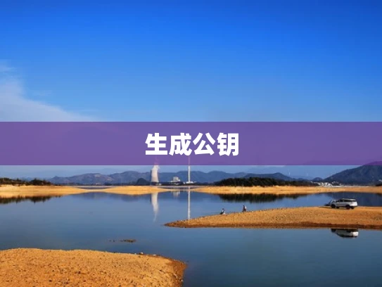 生成公钥