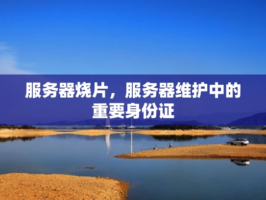 服务器烧片，服务器维护中的重要身份证