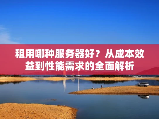 租用哪种服务器好？从成本效益到性能需求的全面解析