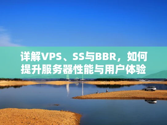 详解VPS、SS与BBR，如何提升服务器性能与用户体验