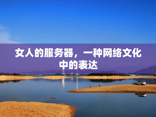 女人的服务器，一种网络文化中的表达
